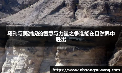 乌鸦与美洲虎的智慧与力量之争谁能在自然界中胜出